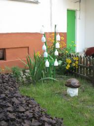 Чернигов ул. Стахановцев д. 20