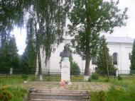 Підберізці