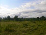 Підберізці