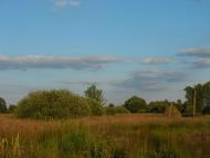 Велика Осниця