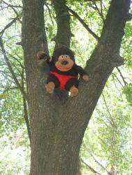 Чернигов ул. Стахановцев д. 20