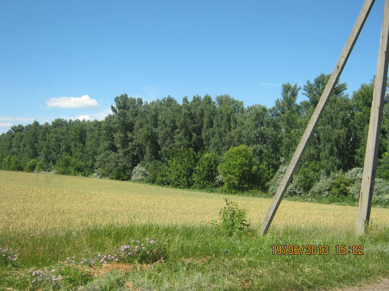 ТЕРЕШКИ - Терешки