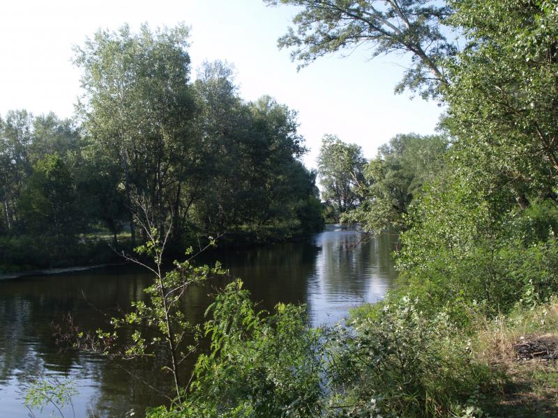 Ворскла у Кротенках - Кротенки