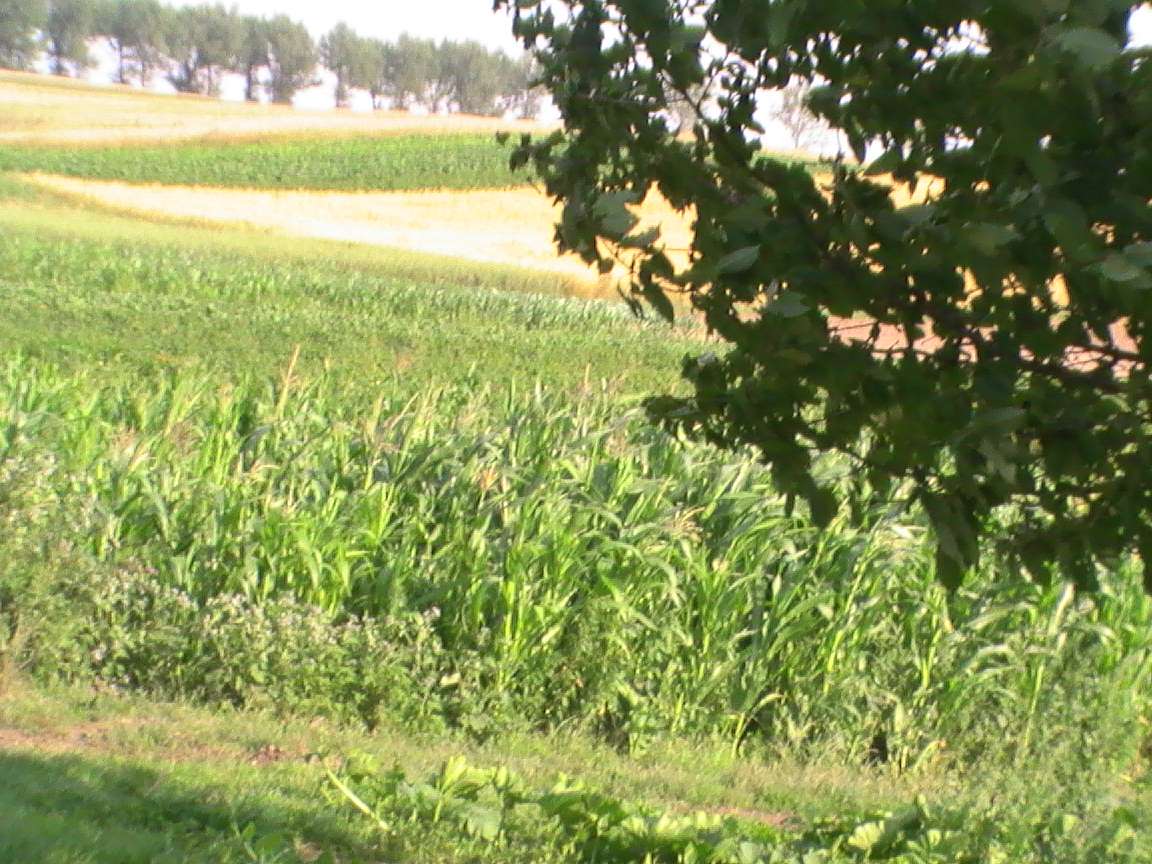 початок - Бермешів