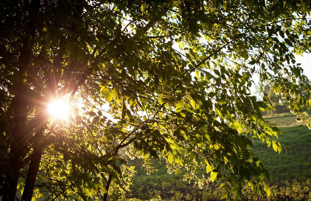 Село в деталях) - Мала Деребчинка