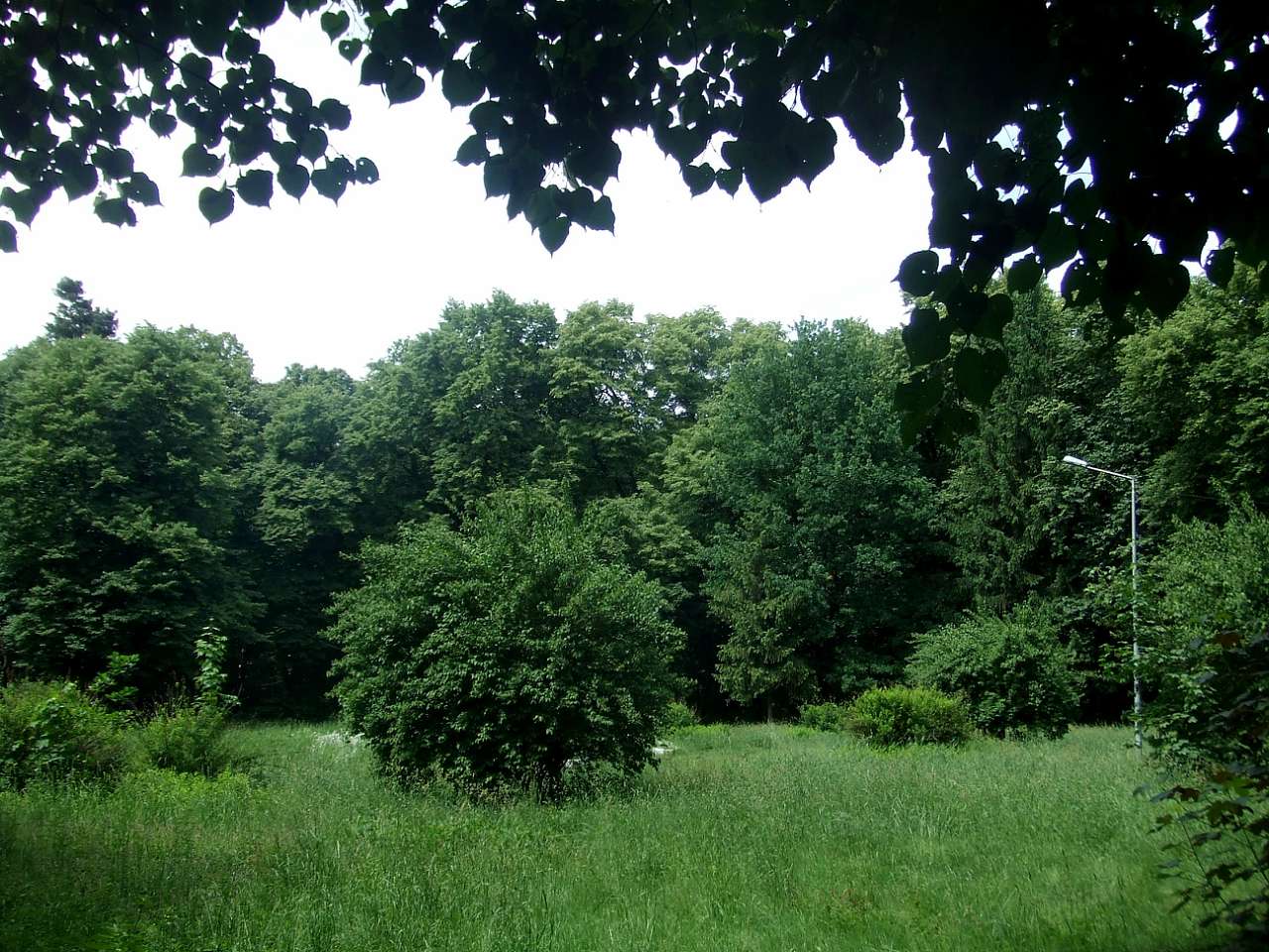 парки - Стрый