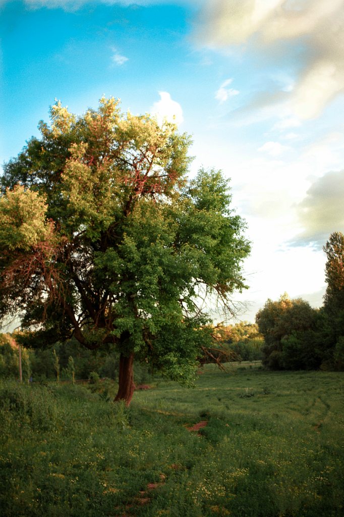 Село в деталях) - Мала Деребчинка