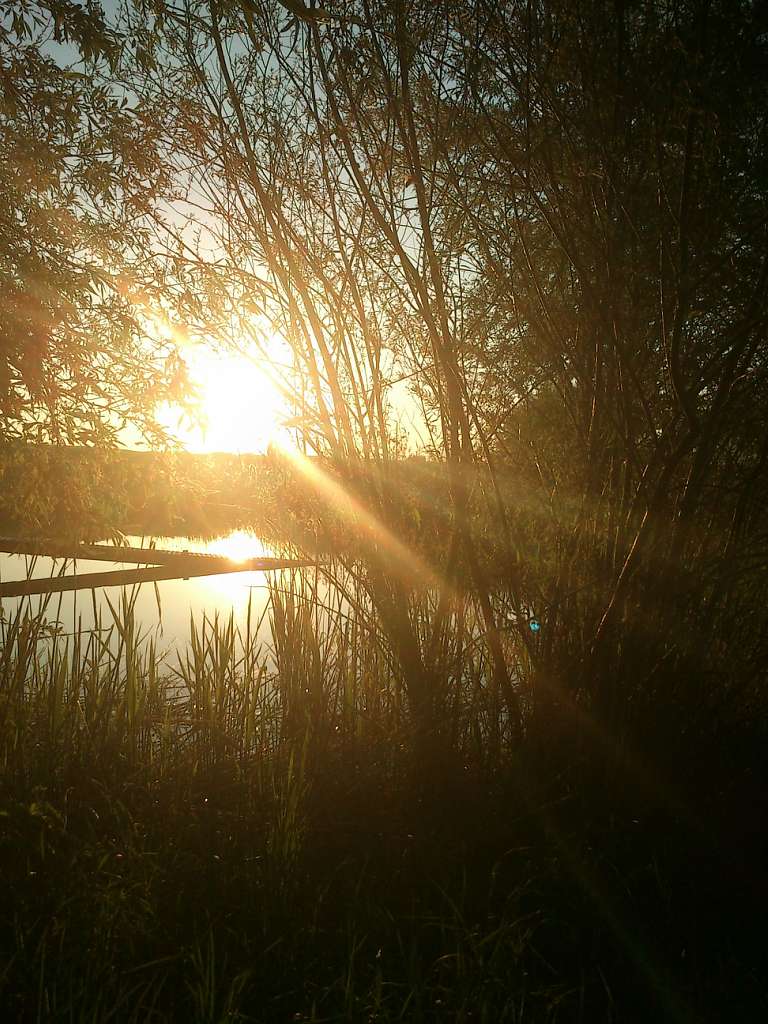 початок - Бермешів