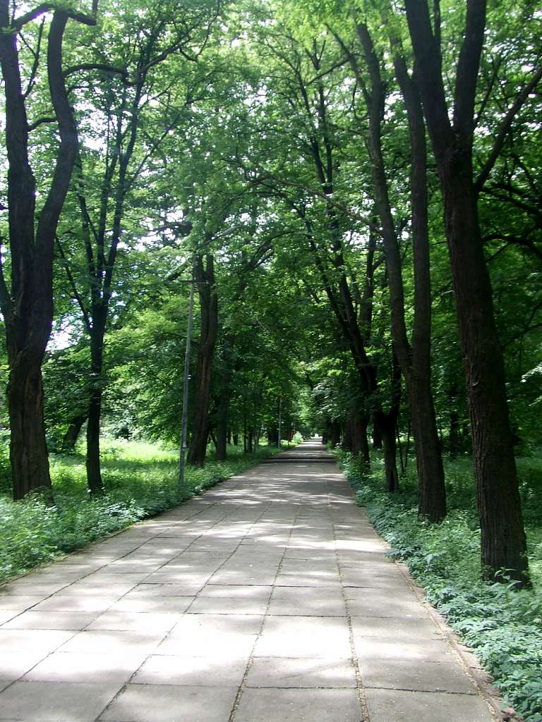 парки - Стрый