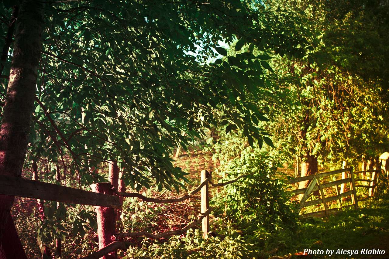 Село в деталях) - Мала Деребчинка