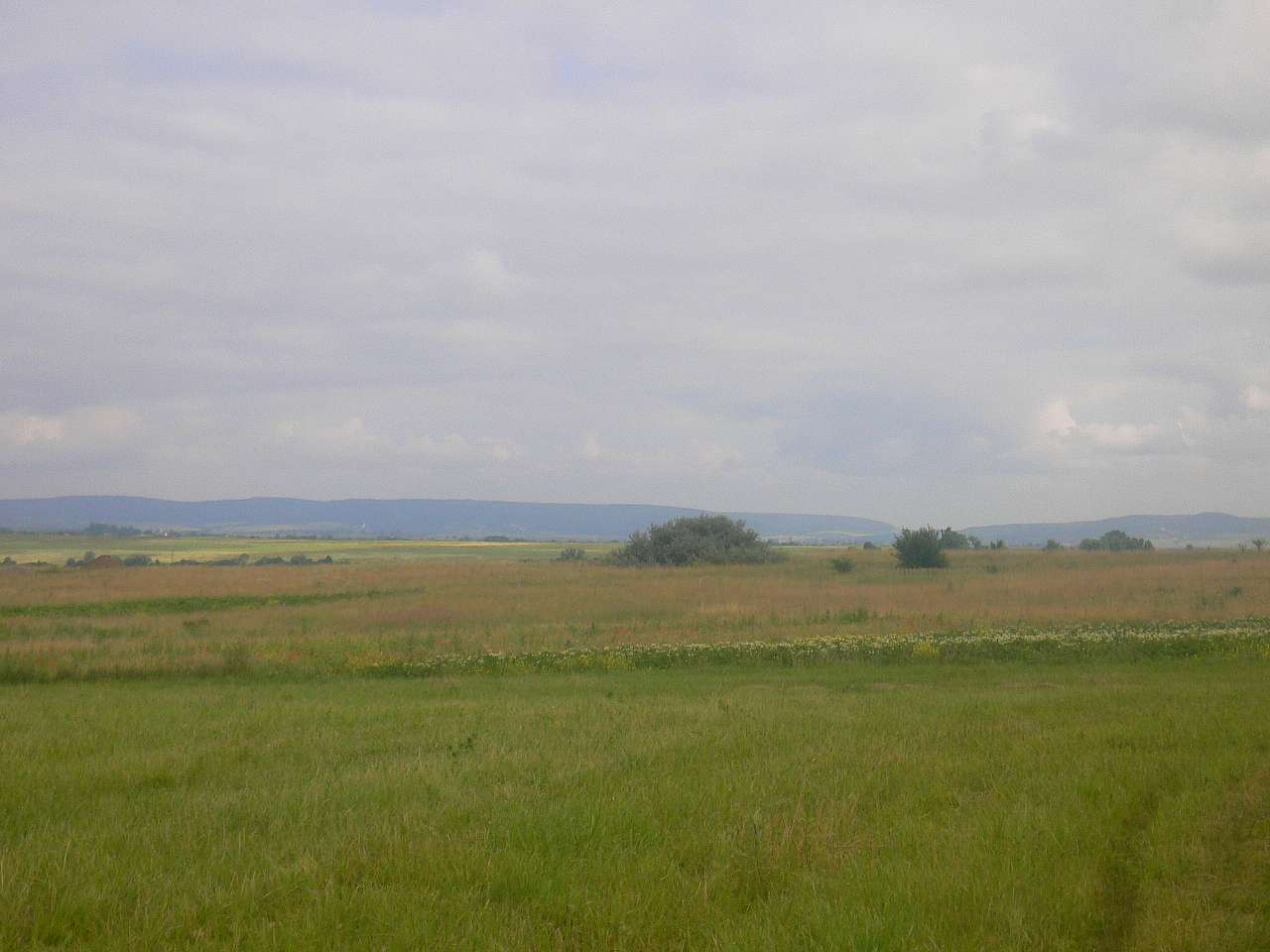 Підберізці - Подберезцы