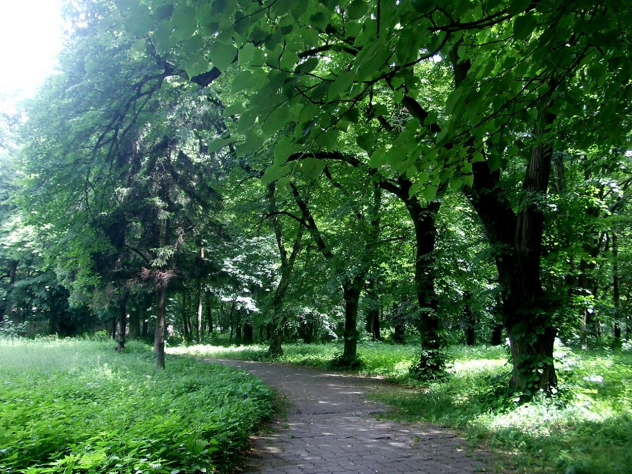 парки - Стрый