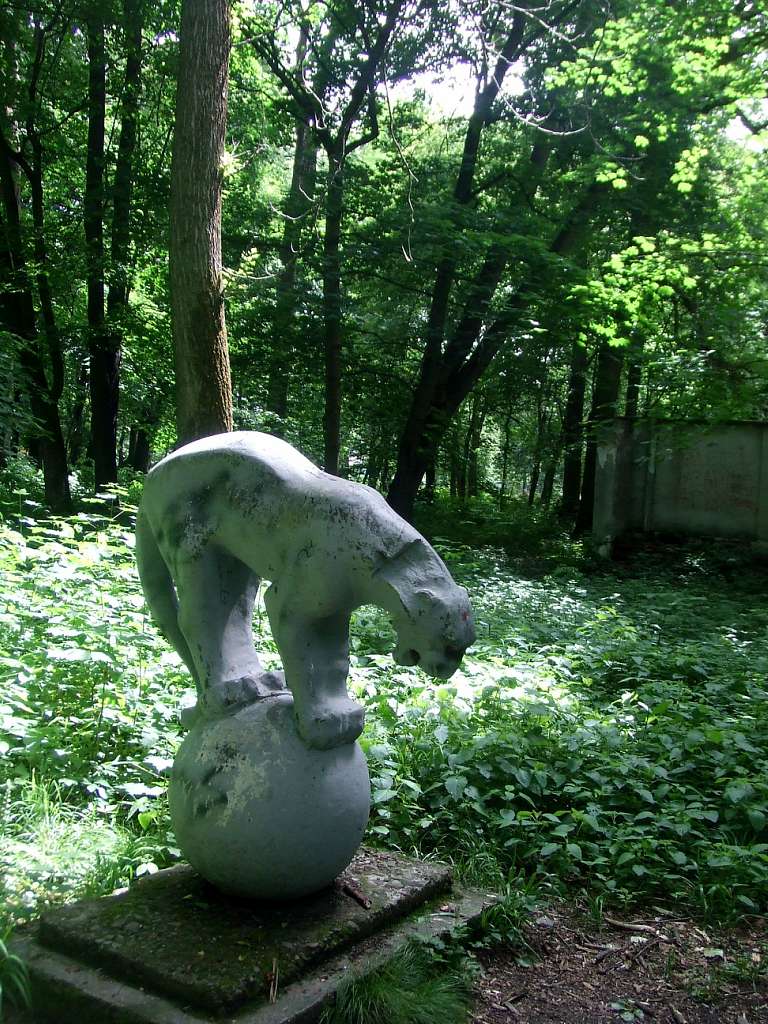 парки - Стрый