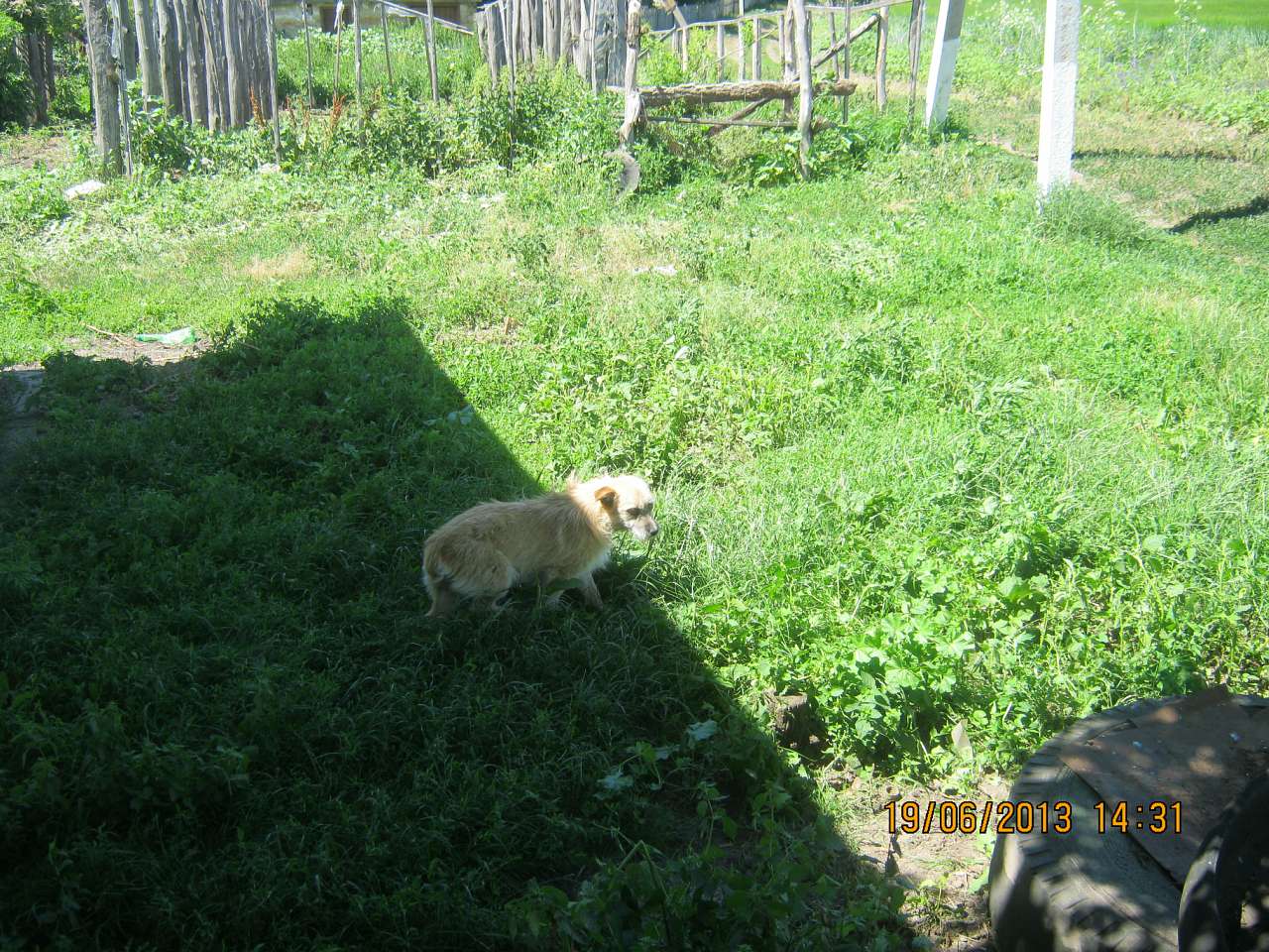 Поїздка на хутір - Ховківка