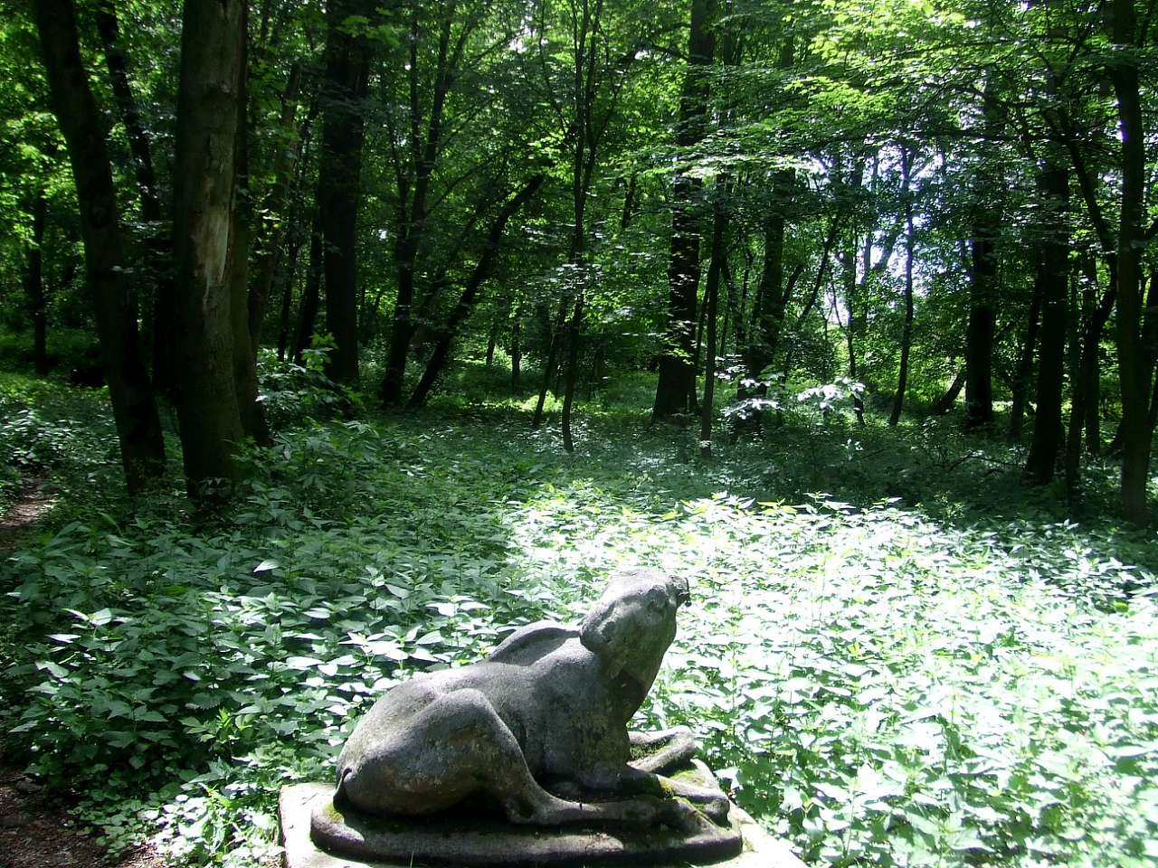 парки - Стрый