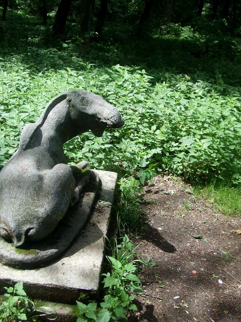 парки - Стрый