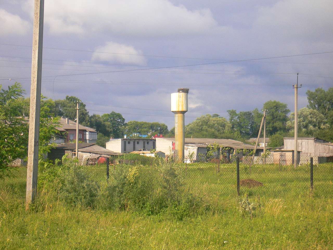 Підберізці - Підберізці
