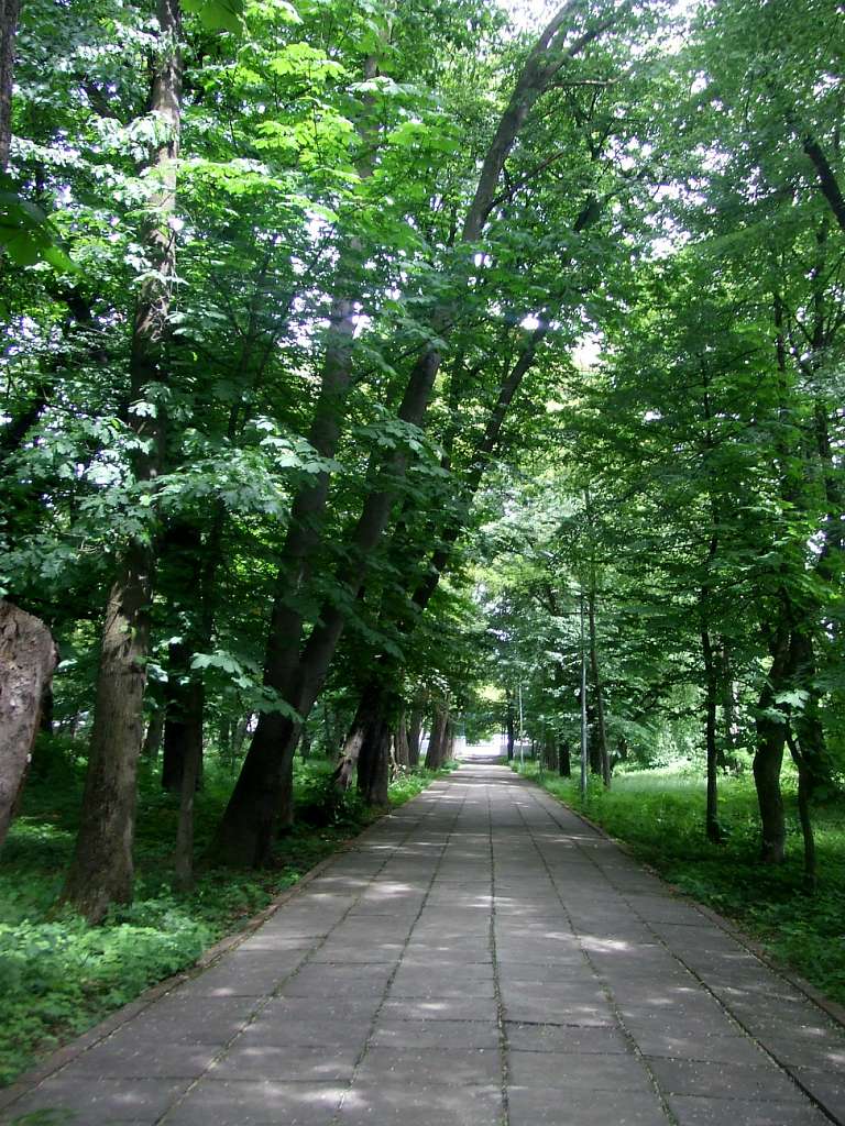 парки - Стрый