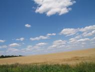 Дородні поля Куколівки