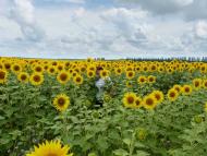 Природа нашого краю