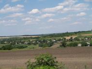 Дородні поля Куколівки