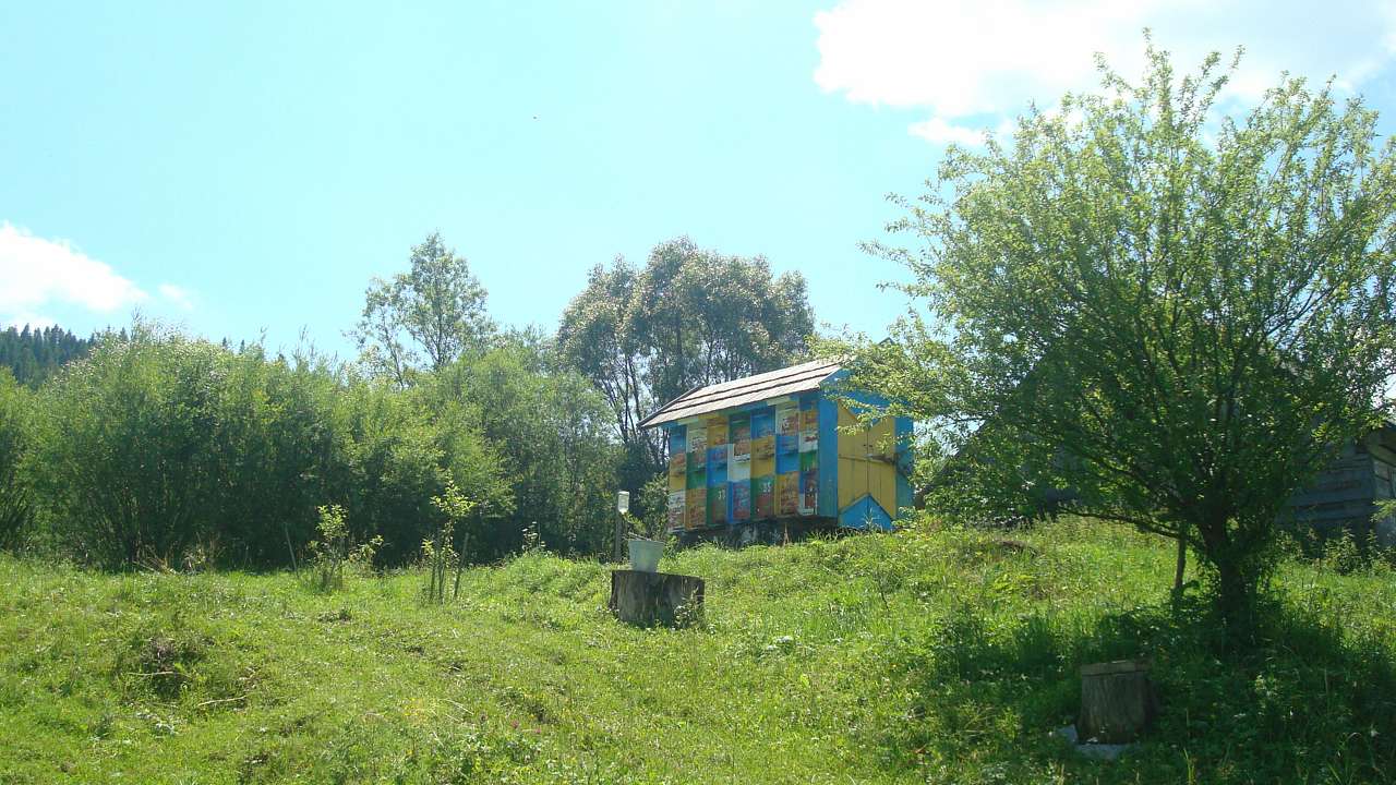 сучасне село - Задільське