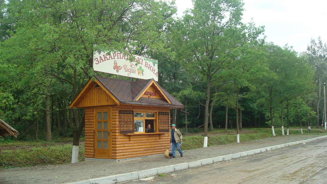 КОСИНО-чудове місце відпочинку - Beregove