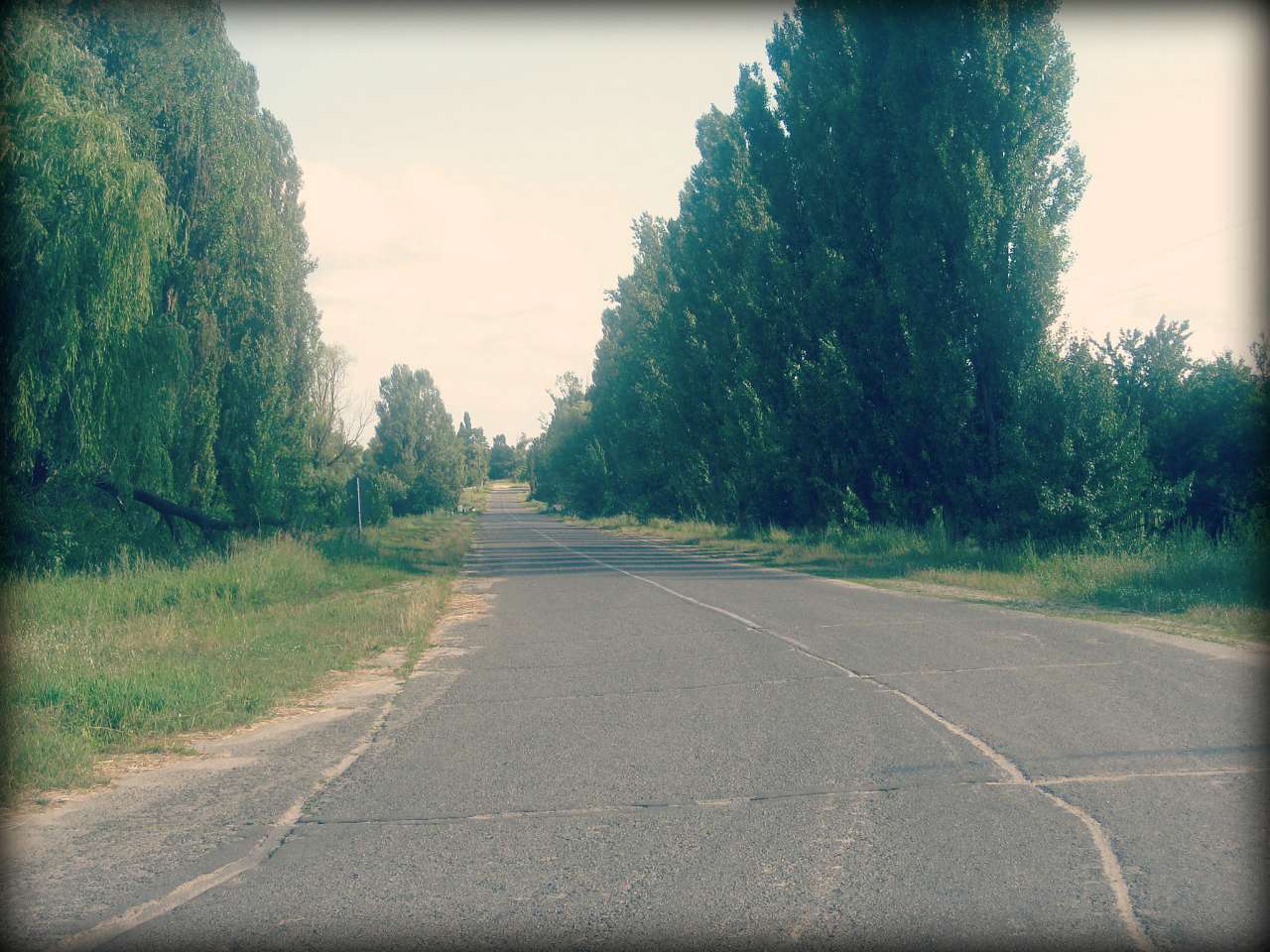 Наша Сидоровщина - Сидоровичи