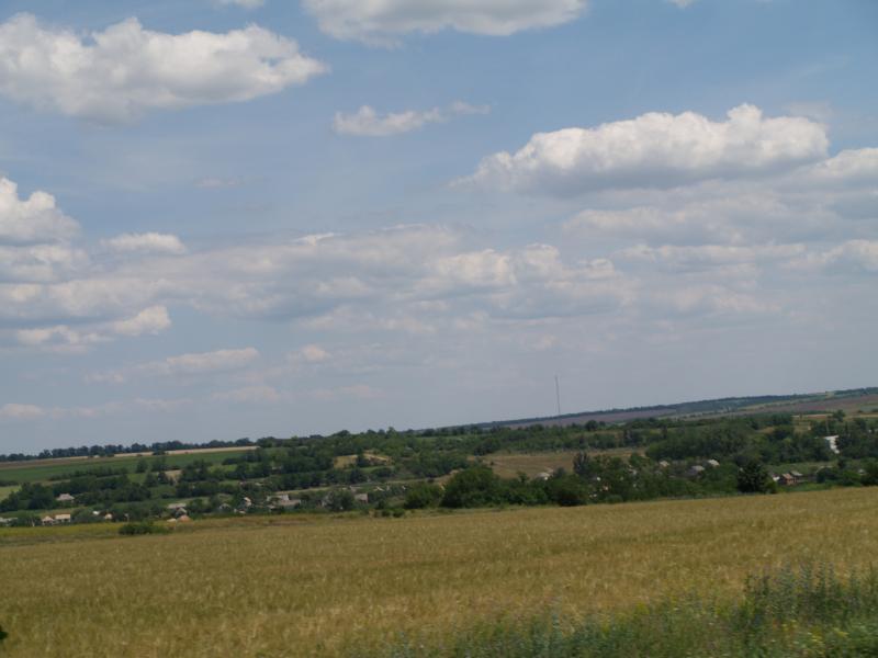 Дородні поля Куколівки - Куколівка