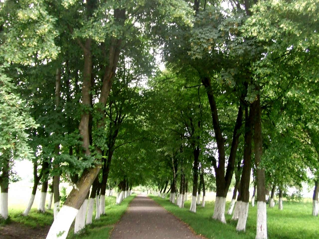 школа - Derzhiv