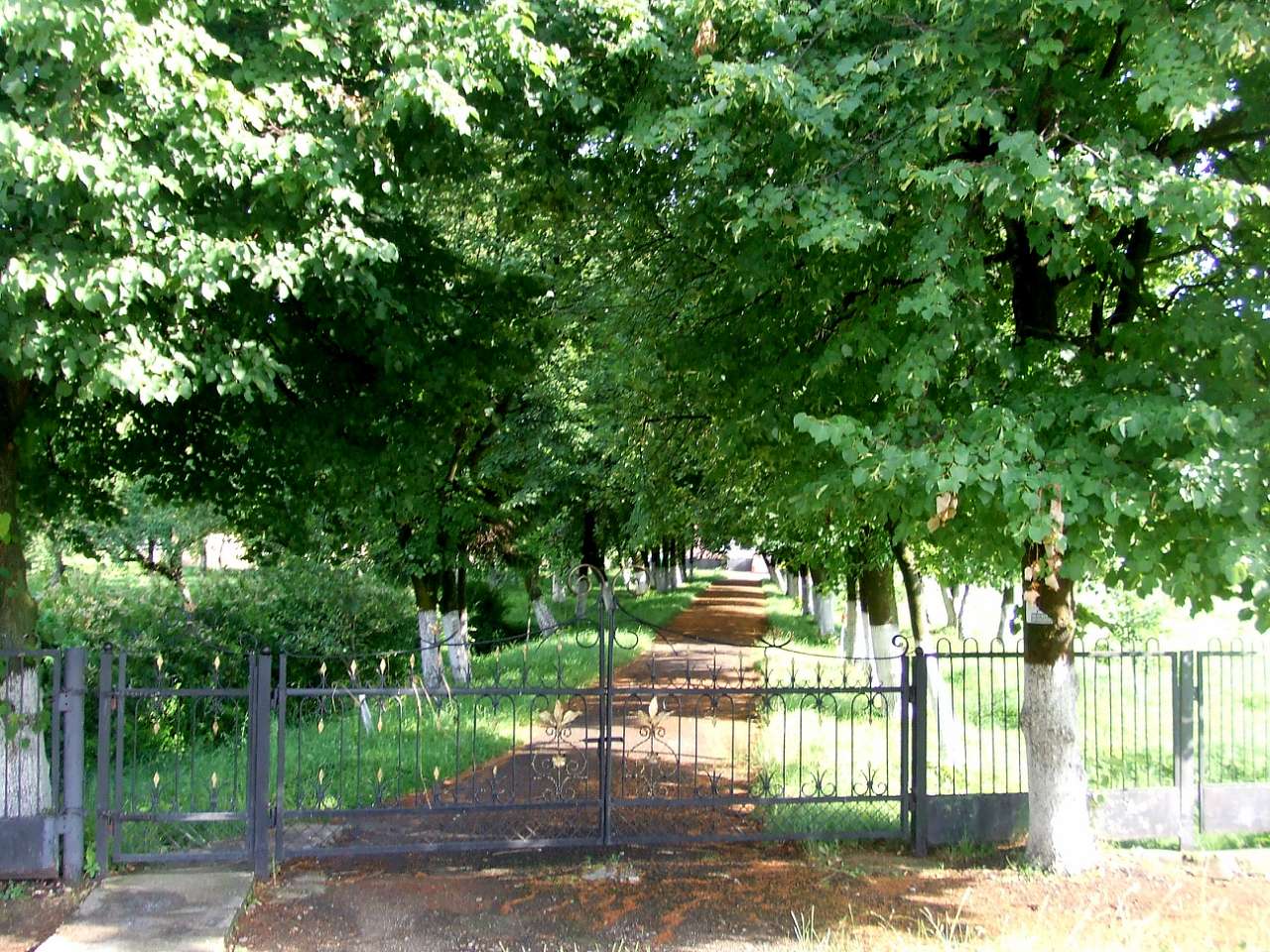 школа - Derzhiv