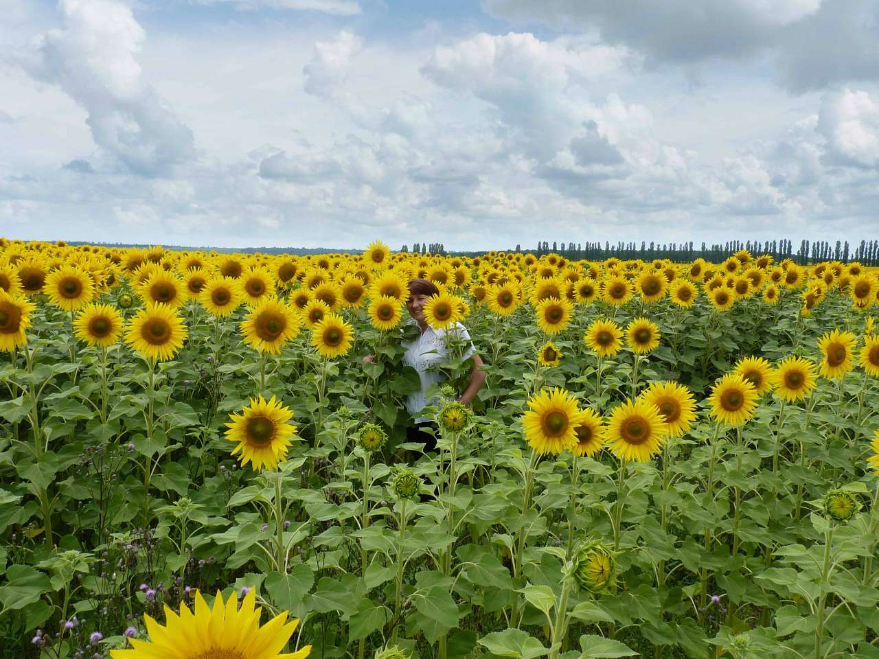Природа нашого краю - Снітків