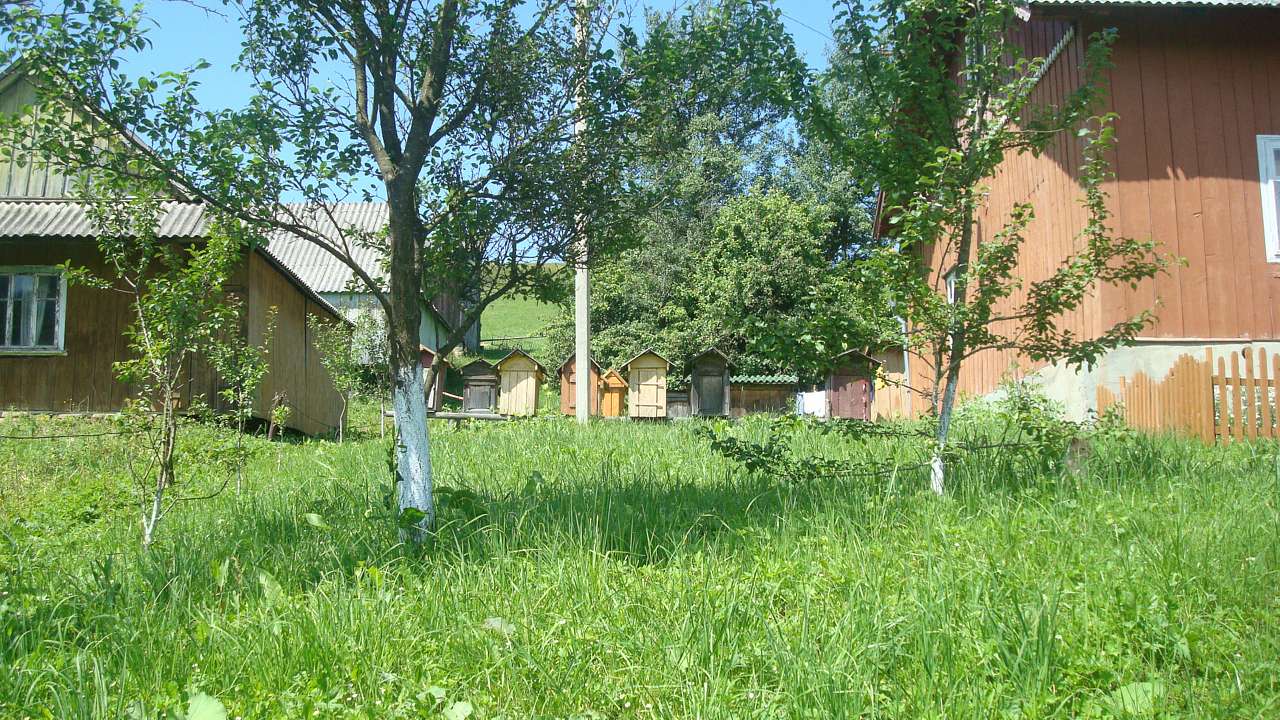 сучасне село - Задельское