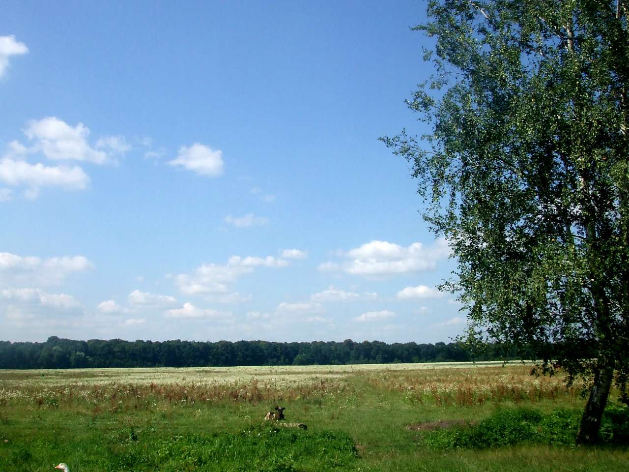 краєвид - Острів