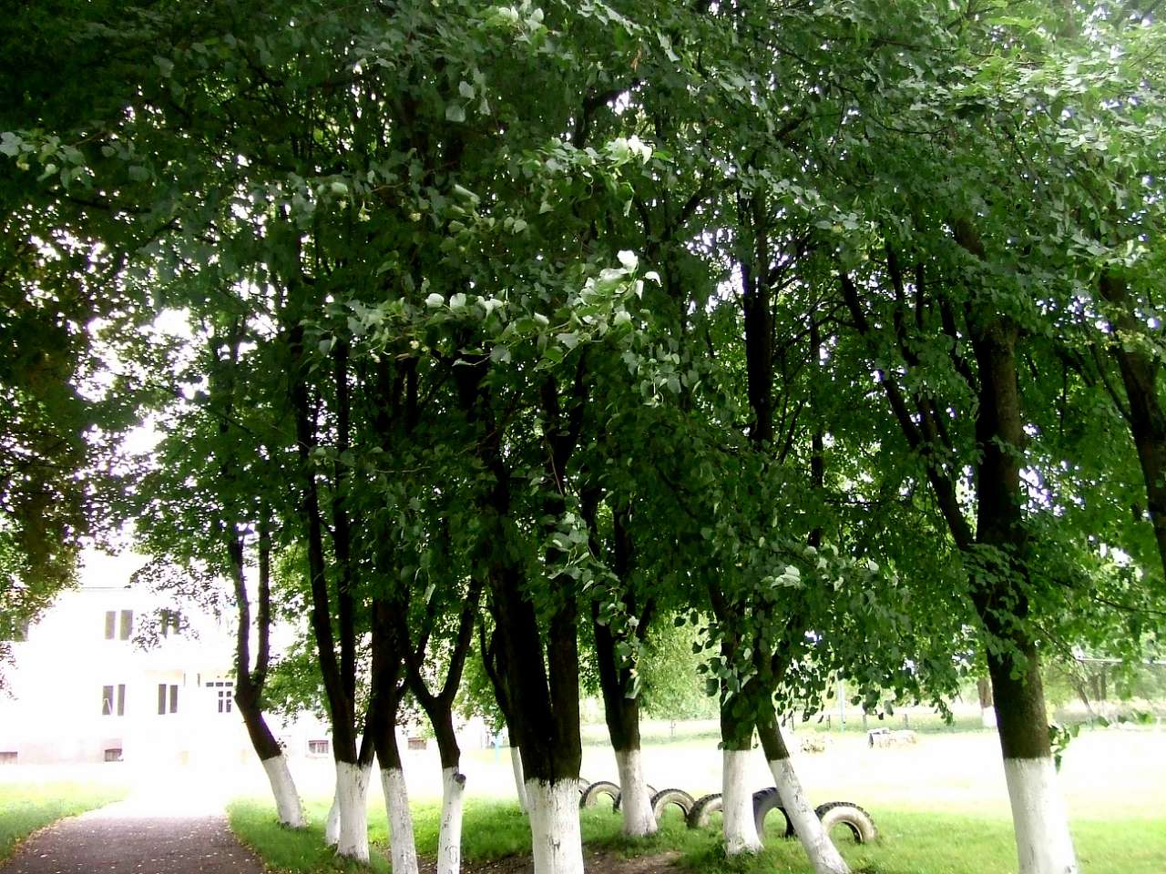 школа - Derzhiv