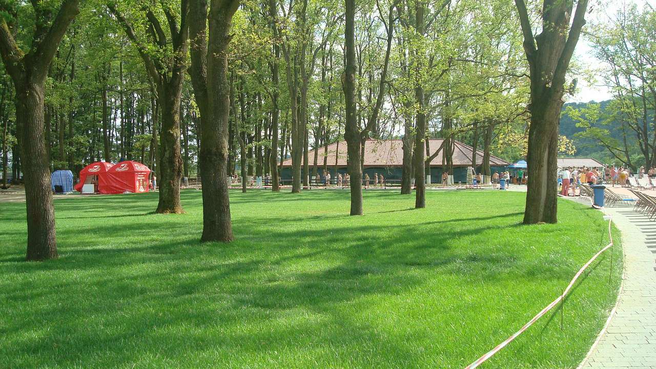 КОСИНО-чудове місце відпочинку - Береговое