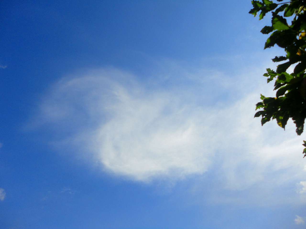 Барви Дніпра - Витачів