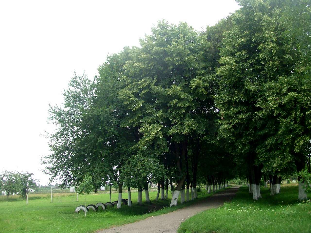 школа - Derzhiv