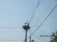 Катеринопіль - Обрані фото