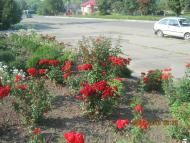 Катеринопіль-подорож  у минуле