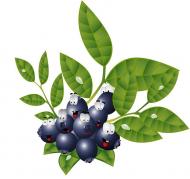 Весела кухня