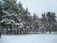 Шнирів - Останні фото