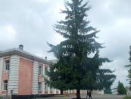 Навчальні заклади