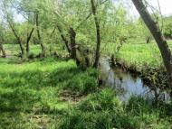 Природа и види села.