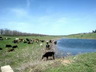 Природа и види села.