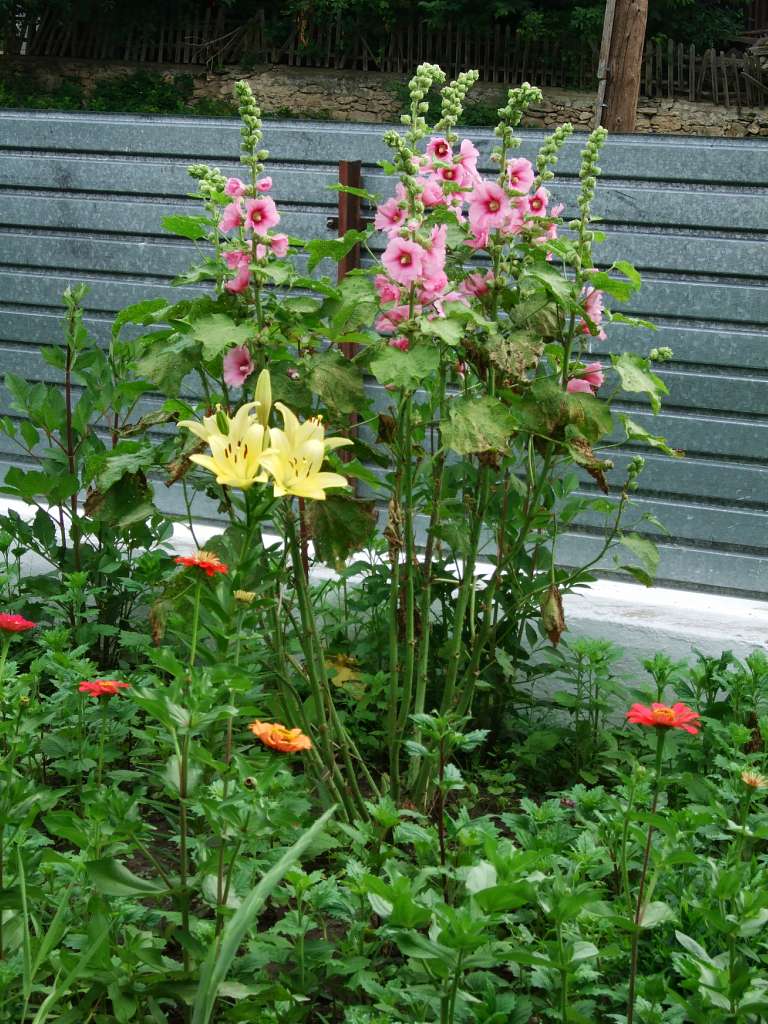 Хата-музей - Березовка