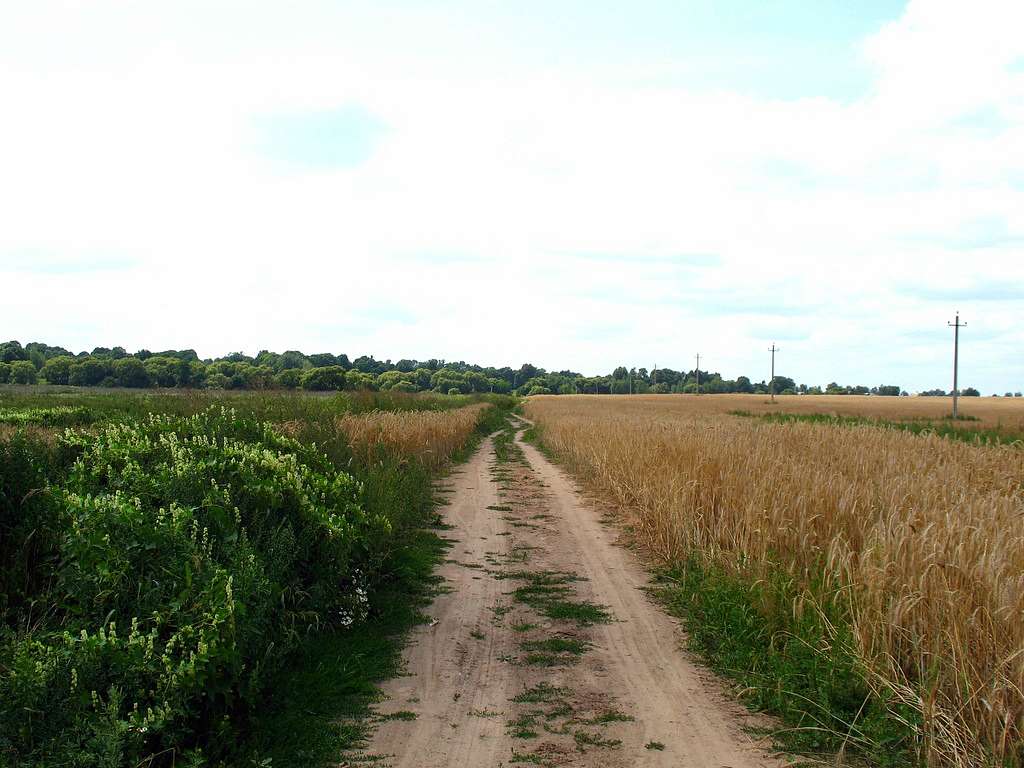  Нашего КРАЯ ПРИРОДА - Великие Крынки