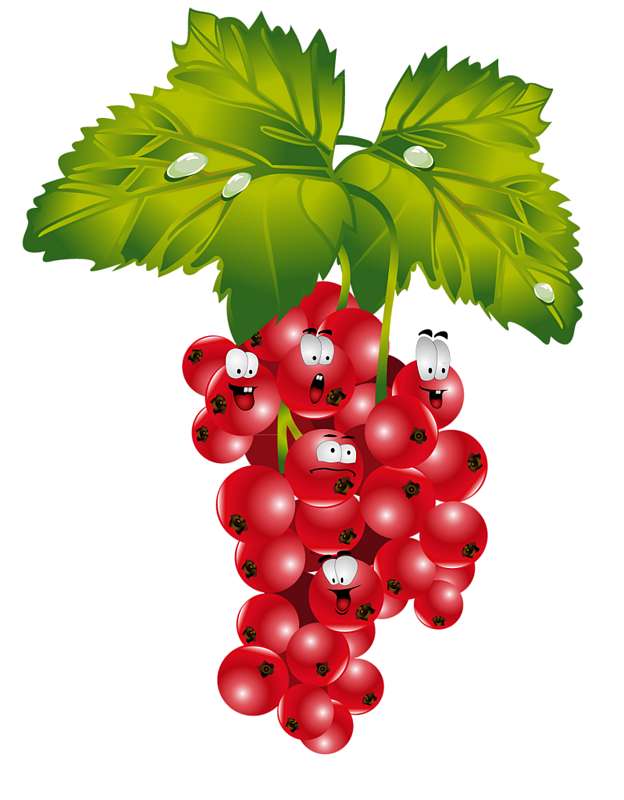 Весела кухня - Подолянка