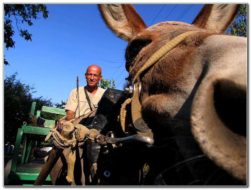 ЦИРК ПРИЇХАВ! - Золота Балка