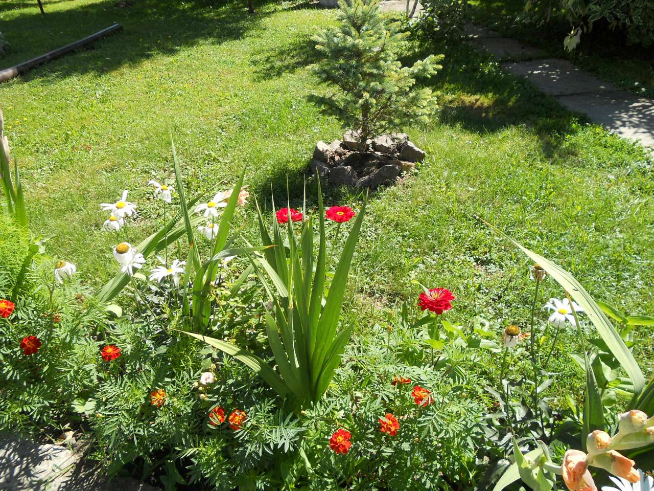 село - Воля-Жовтанецкая